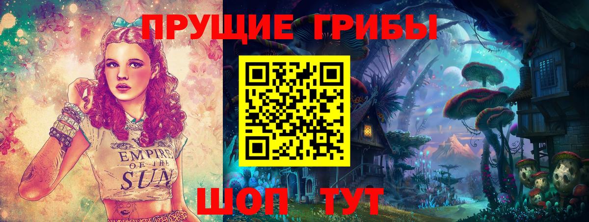 Богородицк  Галлюциногенные грибы GOLDEN TEACHER  Вход с VPN 